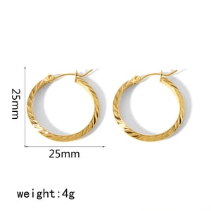 1 Pair Simple Daily Style Round Shape Stainless Steel  Gold Color Women's Hoop Earrings h5 Picture3